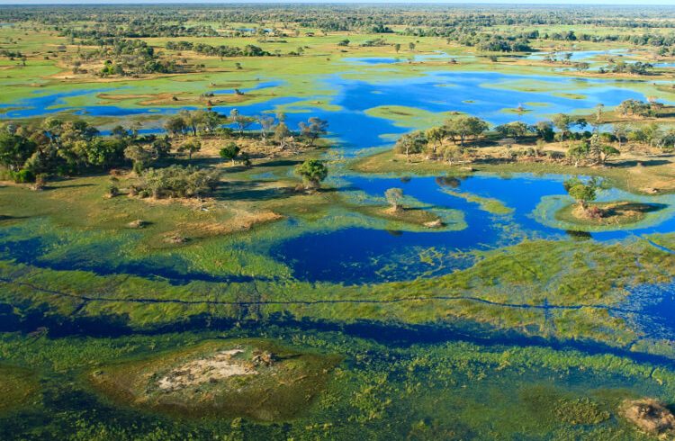 Okavango (1)